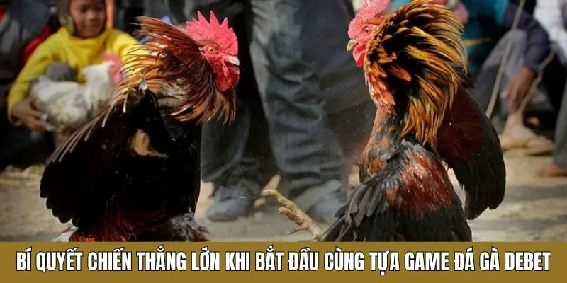Bí quyết chiến thắng lớn khi bắt đầu cùng tựa game đá gà Debet