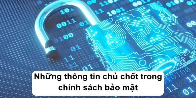 Những thông tin chủ chốt trong chính sách bảo mật