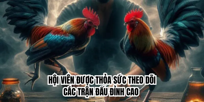 Hội viên được thỏa sức theo dõi các trận đấu đỉnh cao