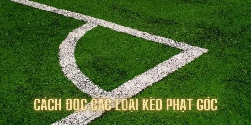 Hướng dẫn đọc kèo với các tỷ lệ phổ biến nhất
