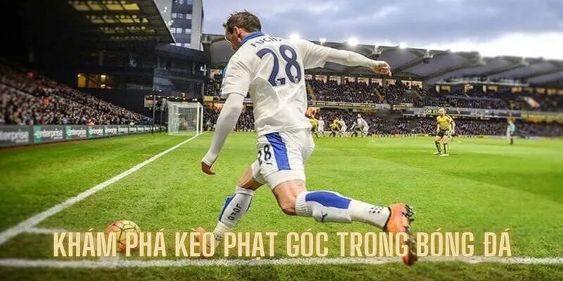 Khám phá kèo phạt góc với tỷ lệ trả thưởng cao