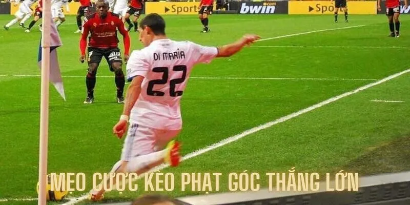Tổng hợp kinh nghiệm khi cá cược đối với phạt góc