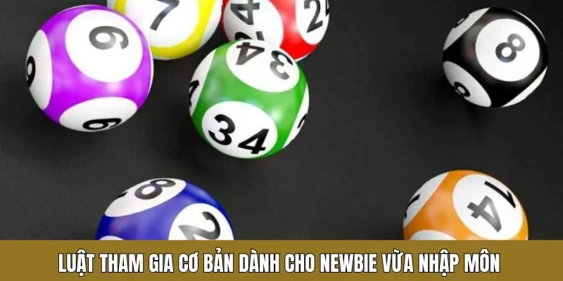 Luật tham gia cơ bản dành cho newbie vừa nhập môn