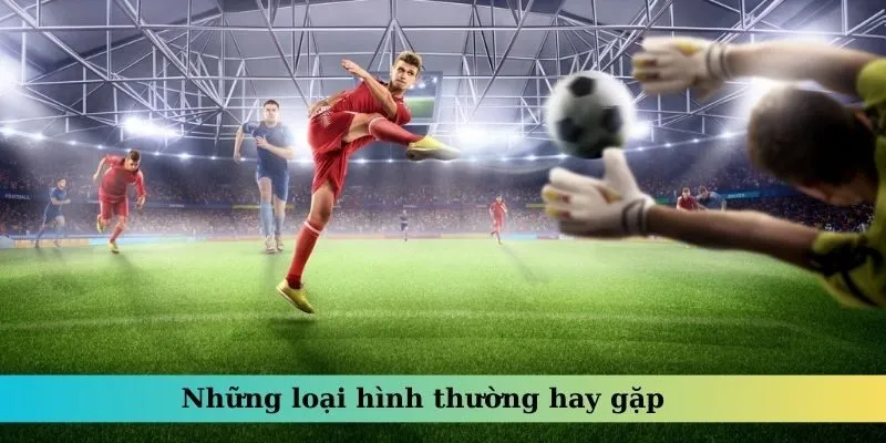Những loại hình thường hay gặp