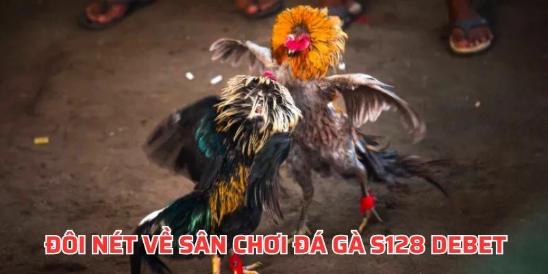 Đôi nét về sân chơi đá gà online S128