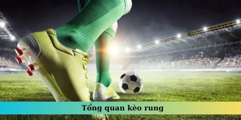 Tổng quan kèo rung