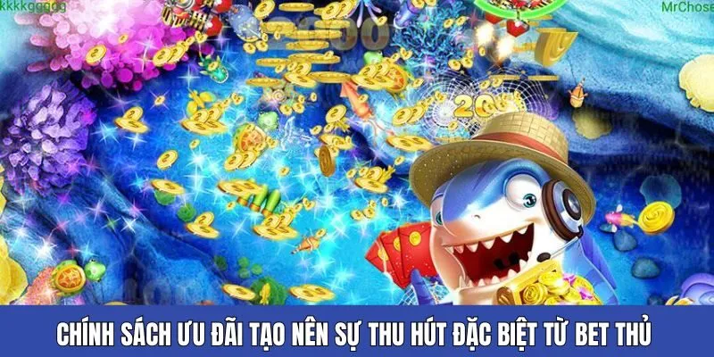 Chính sách ưu đãi tạo nên sự thu hút đặc biệt từ bet thủ