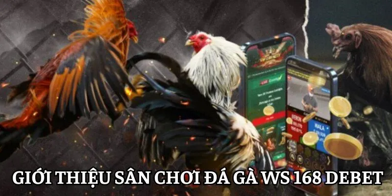 Thông tin về sân chơi đá gà trực tuyến Ws 168